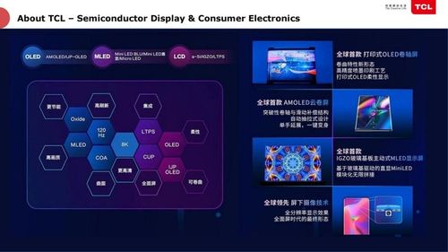 TCL俞大海 半導(dǎo)體工廠的智能化轉(zhuǎn)型，如何實(shí)現(xiàn)千萬級(jí)資產(chǎn)投資管理的優(yōu)化與節(jié)省